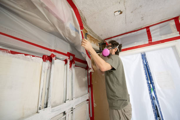 Best Forensic Mold Investigation  in Simsbury Center, CT