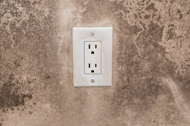 Best Post-Construction Mold Inspection  in Simsbury Center, CT